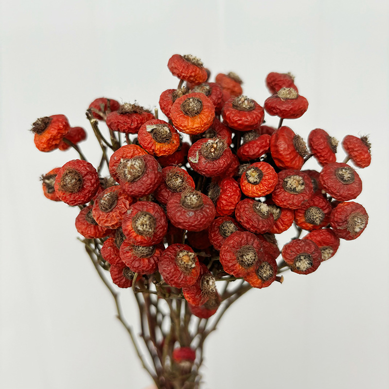 Dried Flower Bulk - 10 قطع/حزمة من ثمار الورد المجففة
