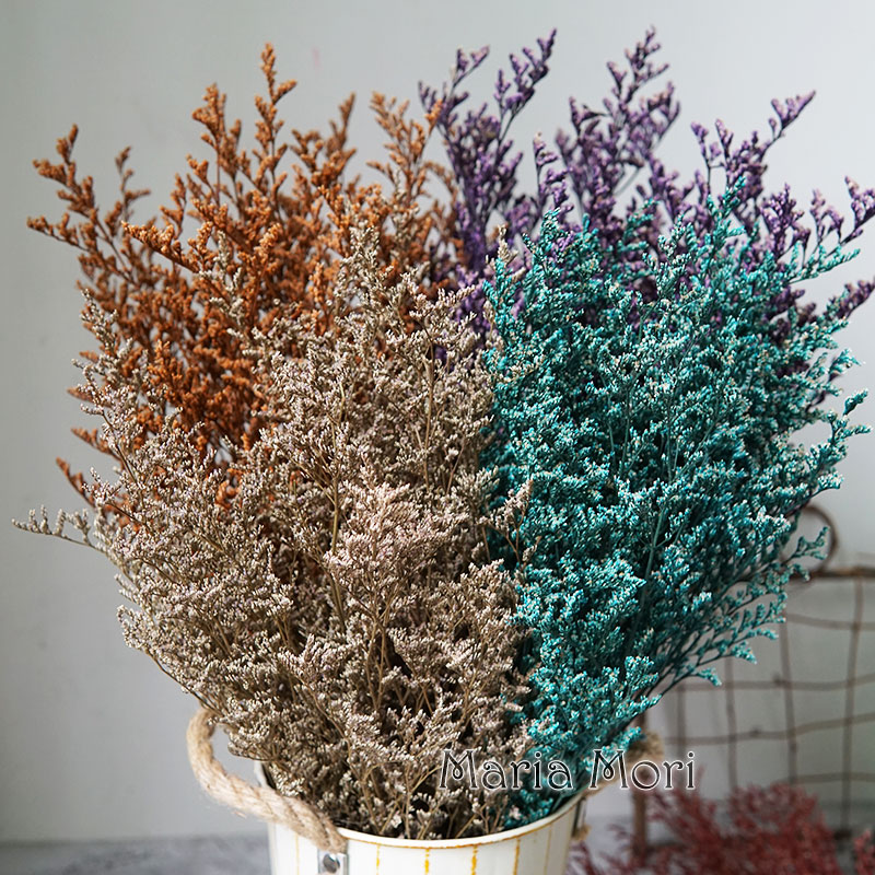 Dried Flower Bulk - 50 جرام/عشبة الحب المحفوظة (ليمونيوم) لتزيين