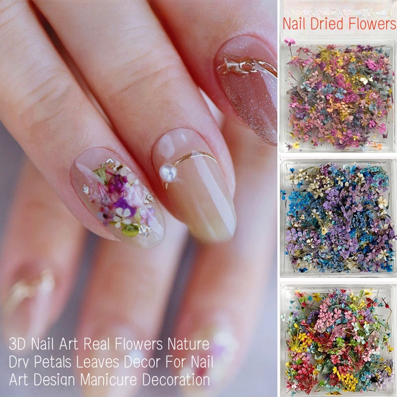 Dried Flower Bulk - زهور مجففة صغيرة مختلطة، فن الأظافر،