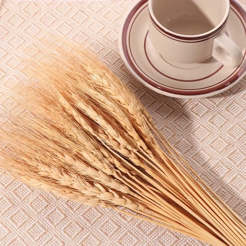 50 قطعة من زهور اصطناعية، سيقا - مراجعة Dried Flower Bulk وسعره