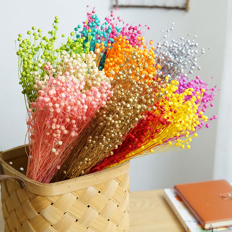 35 جرام/الأورموسيا المحفوظة Ho - مراجعة Dried Flower Bulk وسعره