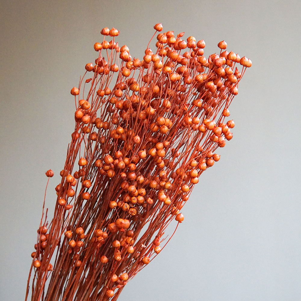 35 جرام/الأورموسيا المحفوظة Ho - مراجعة Dried Flower Bulk وسعره