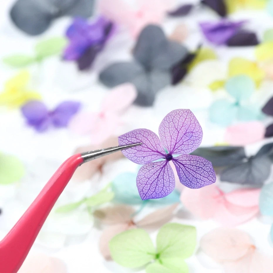زخرفة أظافر زهور مجففة حقيقية  - مراجعة Dried Flower Bulk وسعره
