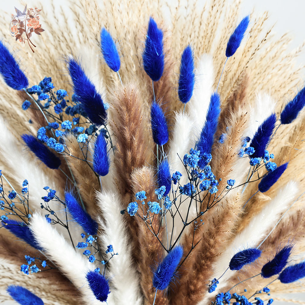 70 الجذعية الأزرق رقيق أرنب ذي - مراجعة Dried Flower Bulk وسعره