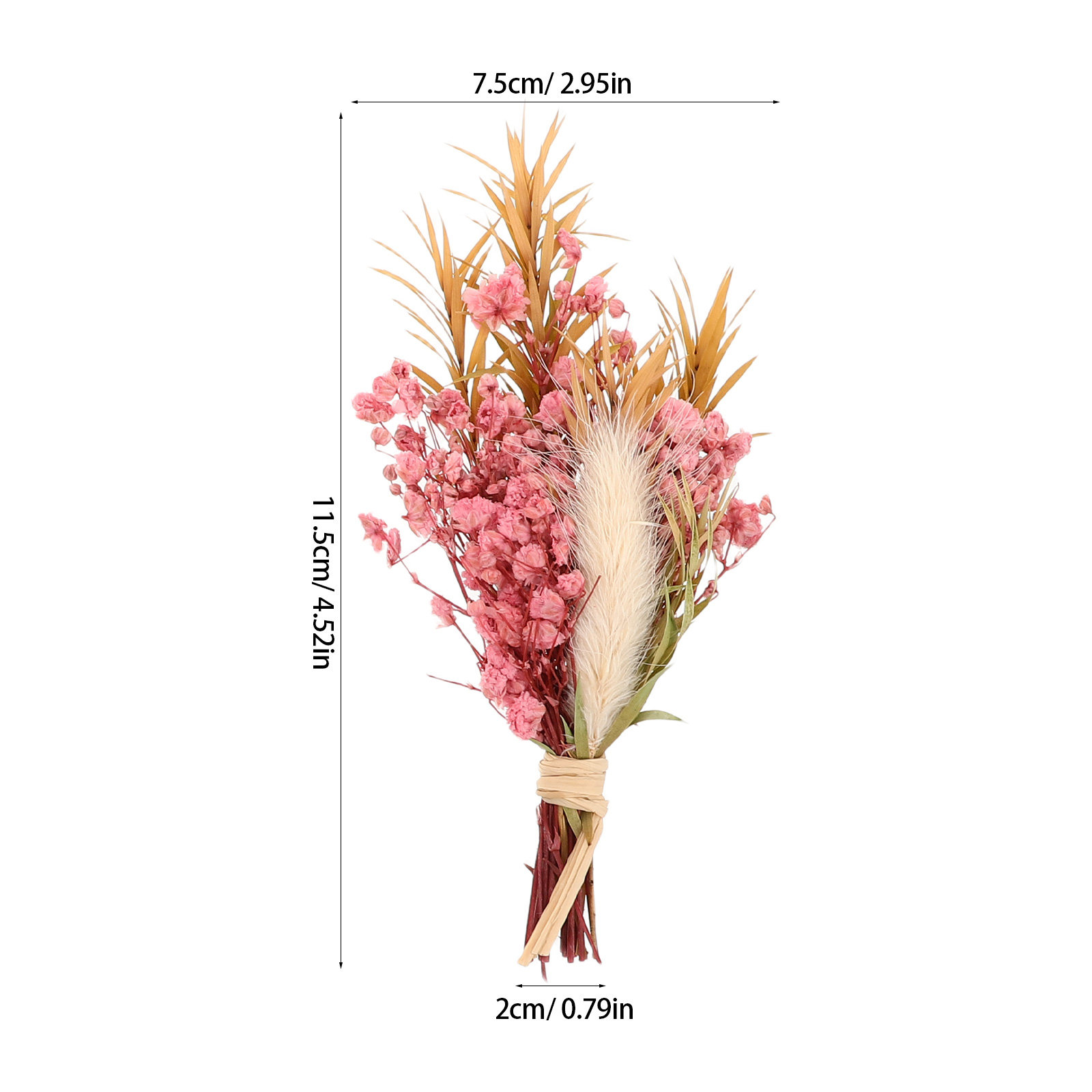 3 قطع باقة زهور مجففة صغيرة طب - مراجعة Dried Flower Bulk وسعره