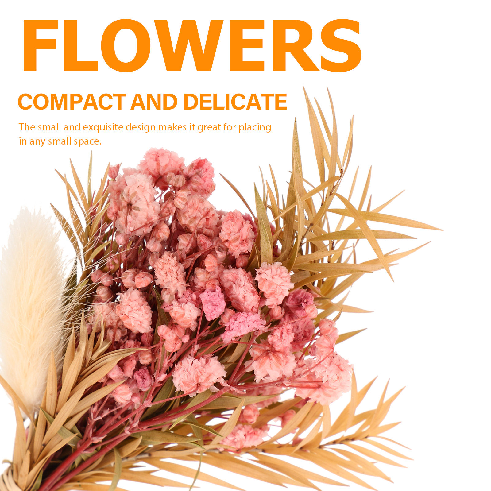 3 قطع باقة زهور مجففة صغيرة طب - مراجعة Dried Flower Bulk وسعره