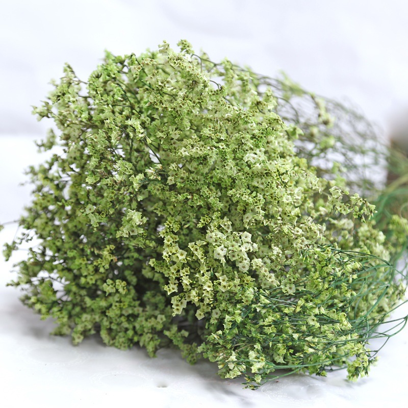 الطبيعية الطازجة المجففة الحفا - مراجعة Dried Flower Bulk وسعره
