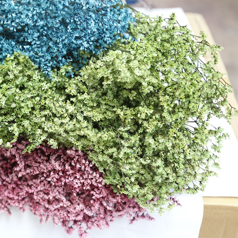 الطبيعية الطازجة المجففة الحفا - مراجعة Dried Flower Bulk وسعره