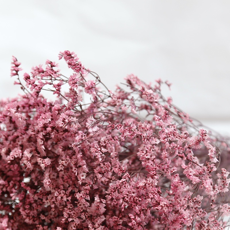 الطبيعية الطازجة المجففة الحفا - مراجعة Dried Flower Bulk وسعره