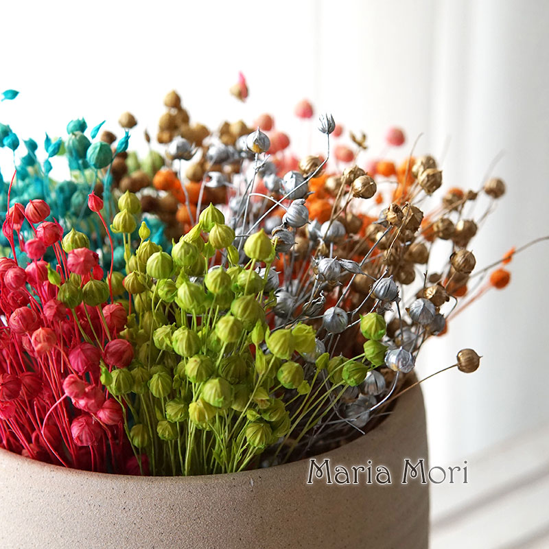 5 جرام حبوب الكتان المحفوظة ال - مراجعة Dried Flower Bulk وسعره