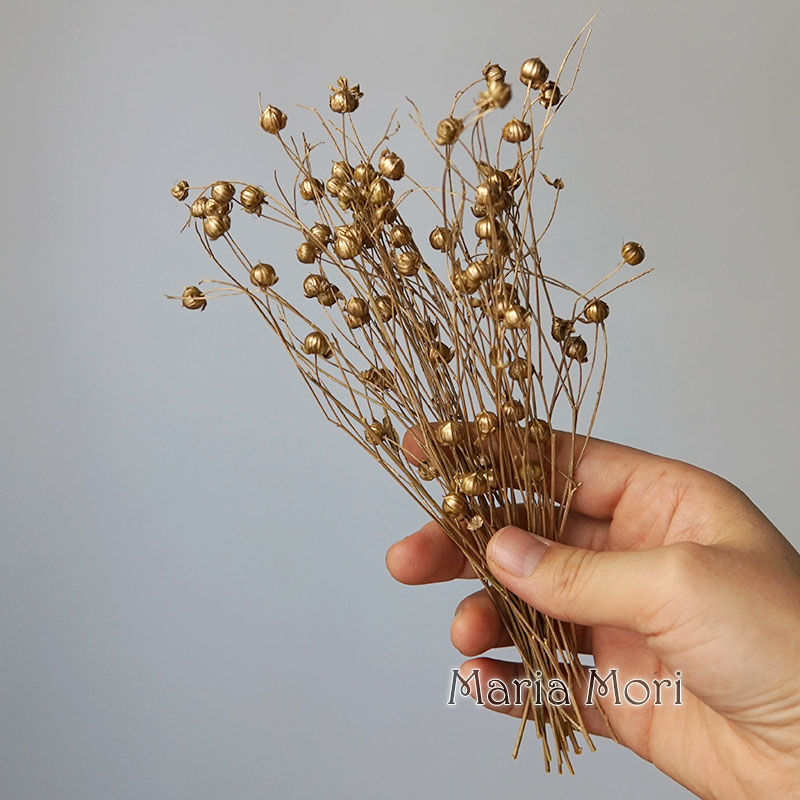 5 جرام حبوب الكتان المحفوظة ال - مراجعة Dried Flower Bulk وسعره