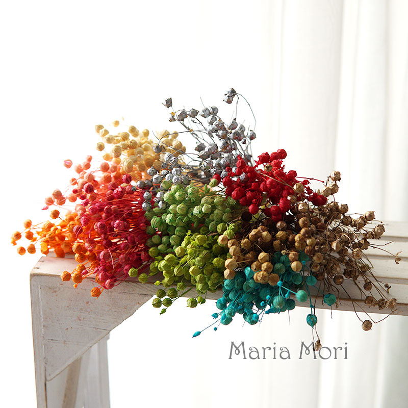 5 جرام حبوب الكتان المحفوظة ال - مراجعة Dried Flower Bulk وسعره