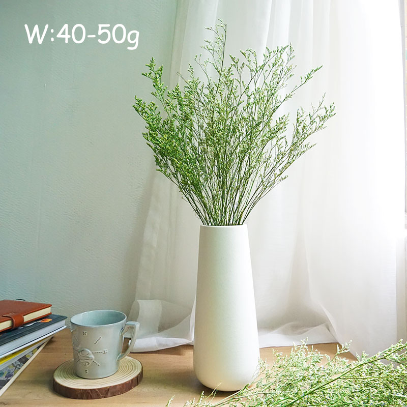 50 جرام/عشبة الحب المحفوظة (لي - مراجعة Dried Flower Bulk وسعره