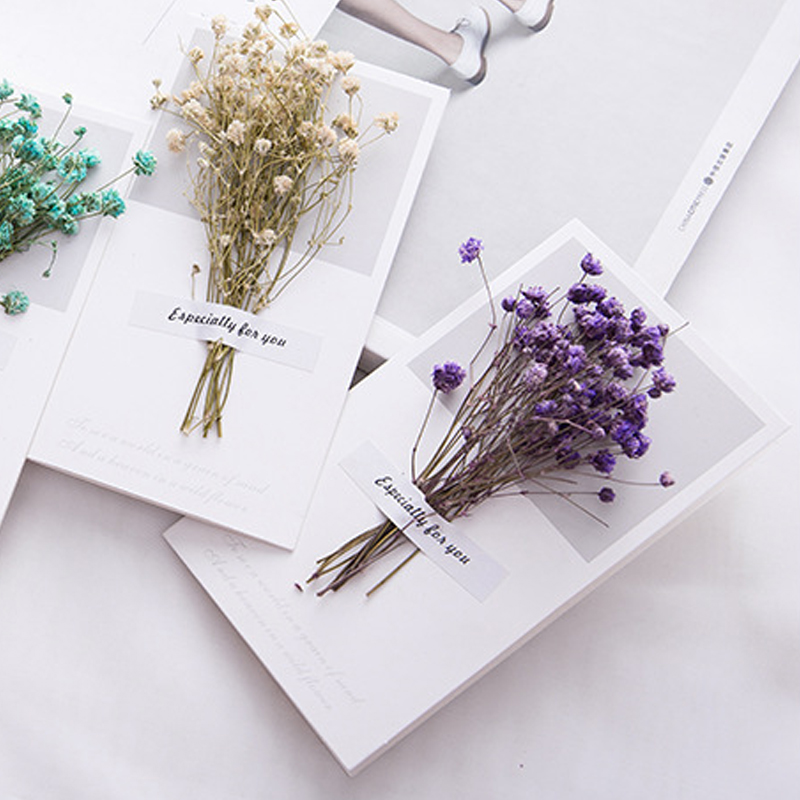 10 قطعة بطاقة هدية دعوات الزفا - مراجعة Dried Flower Bulk وسعره