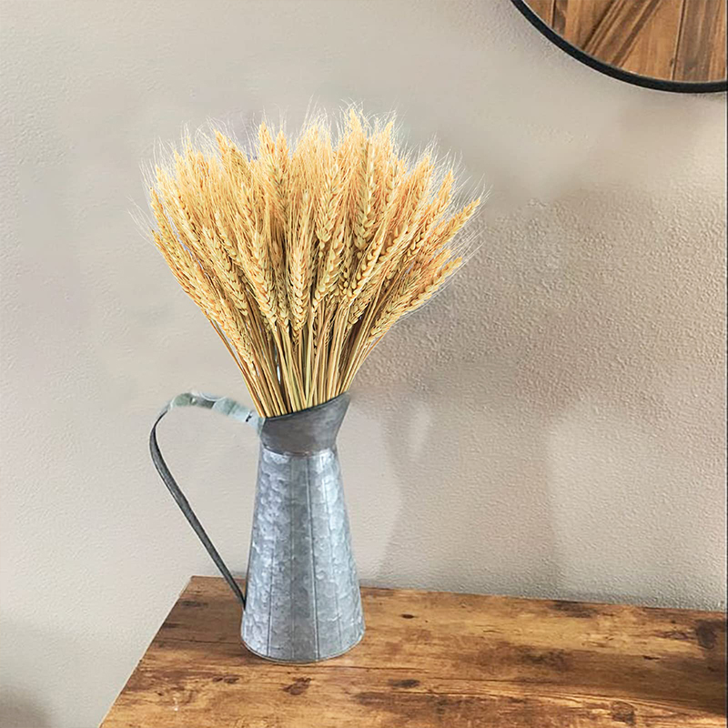 50/100/200 قطعة سيقان القمح ال - مراجعة Dried Flower Bulk وسعره