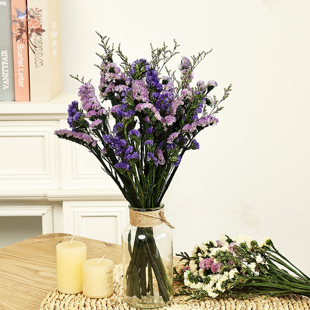 100 جرام طبيعي حقيقي ننسى لي ل - مراجعة Dried Flower Bulk وسعره