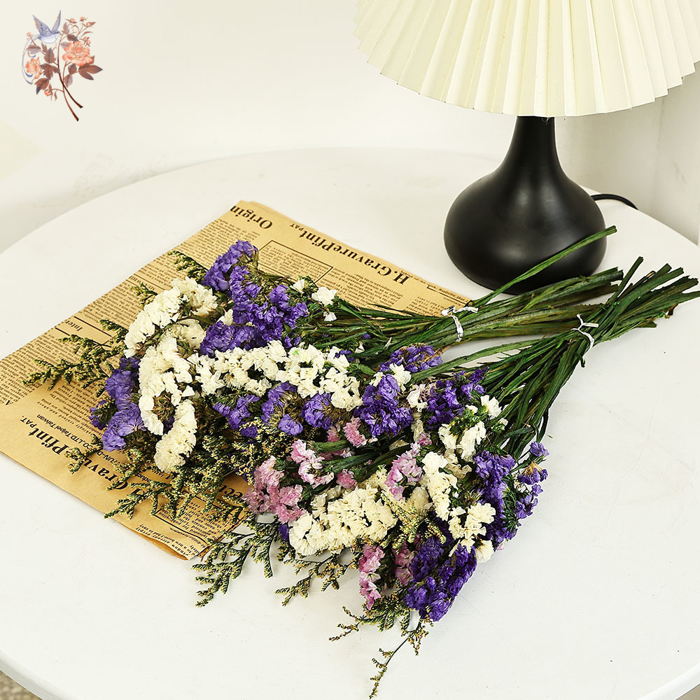 100 جرام طبيعي حقيقي ننسى لي ل - مراجعة Dried Flower Bulk وسعره