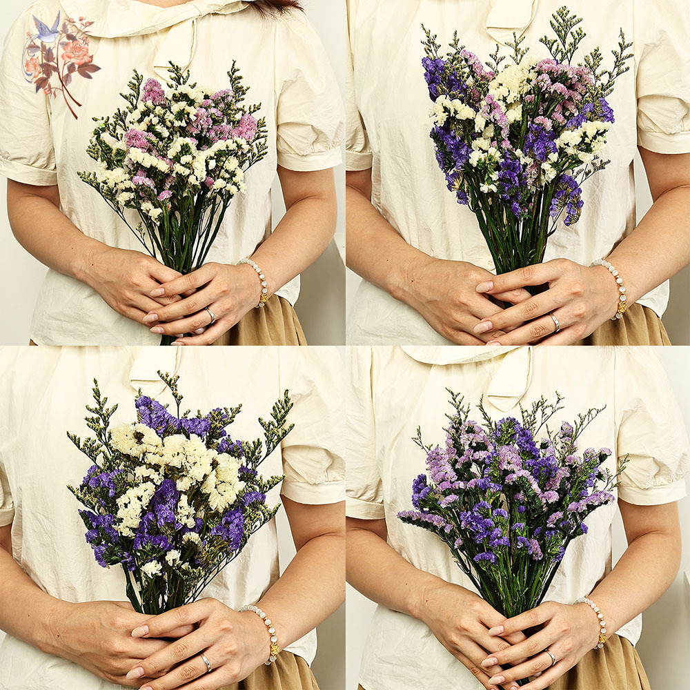 100 جرام طبيعي حقيقي ننسى لي ل - مراجعة Dried Flower Bulk وسعره